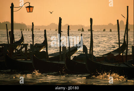 Venedig:Gondeln am Kai, Wasser-Spritzer, Morgensonne, * gVenice am frühen Morgen: Gondeln befestigt am Rand des Piazza San Marco Stockfoto