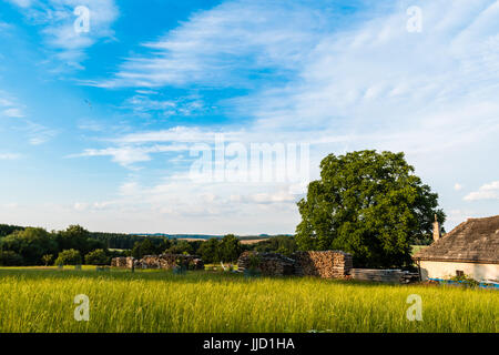 Landschaft-Scheune mit großem Garten, Wiese und Wald. Im Hintergrund ist ein Wald und Feld. Auf dem blauen Frühlingshimmel sind Wolken. Stockfoto