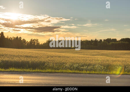 Land Seitenansicht Landschaft über Wiese Stockfoto