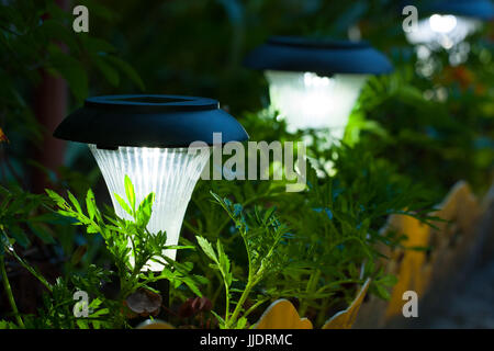 Solarleuchte. Nahaufnahme von dekorativen kleinen Solar Garten Licht, Laternen im Blumenbeet im grünen Laub. Stockfoto
