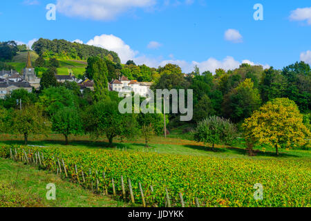 Landschaft mit Feldern und Weinbergen, in Cote dOr, Burgund, Frankreich Stockfoto