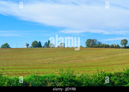 Landschaft mit Feldern und Bauernhöfen, in Cote dOr, Burgund, Frankreich Stockfoto