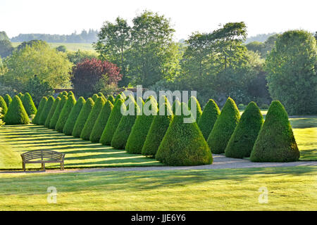 Elisabethanische Landgarten topiary in historischen Parklands & Gärten mit Bäumen jetzt Warners Hotel & Freizeitzentrum Littlecote House Wiltshire England Großbritannien Stockfoto