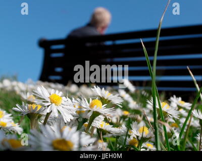 AJAXNETPHOTO. WORTHING, ENGLAND. -EINEN PLATZ AN DER SONNE - ÖFFENTLICHE SITZGELEGENHEITEN AUF DER PROMENADE MIT BLICK AUF DEN STRAND. FOTO: JONATHAN EASTLAND/AJAX REF: GX141607 3929 Stockfoto