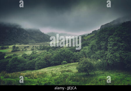 Green Hills begrenzt im Nebel, Snowdonia National Park, UK Stockfoto
