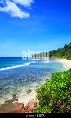 Fourmis Strand, Insel La Digue, Indischer Ozean, Seychellen. Stockfoto