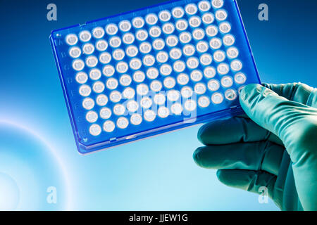 Wissenschaftler im Labor einer 96-well-Platte für PCR-Analysen und Forschung in der mikrobiologischen Labor Proben Mikrotestplatte halten Stockfoto