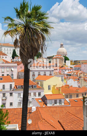 Lissabon Alfama, Blick im Sommer auf die Lissabonner Altstadt Alfama Bezirk, mit der Kirche Sao Vicente de Fora erhebt sich über den Straßen, Portugal Stockfoto