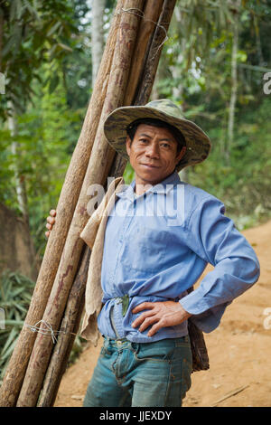 Ein Mann trägt Protokolle einen Pfad auf die vorübergehende Auslagerung Website gebaut von den Dorfbewohnern über Ban Kor Mann Mai, Laos. Das Dorf wird durch Nam Ou River Dam #6 überschwemmt werden und die Regierung vorausgesetzt, Neuansiedlung in der Nähe von Hut Sa nicht rechtzeitig fertig wird. Stockfoto