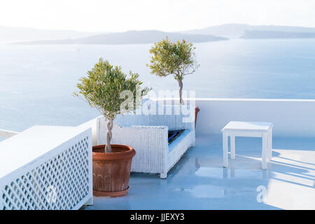 Grünen Olivenbäumen im Blumentopf. Dorf Oia auf Santorin. Griechenland Stockfoto