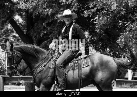 2017 Hudson Valley Gunslingers - Cowboy montiert schießen Stockfoto