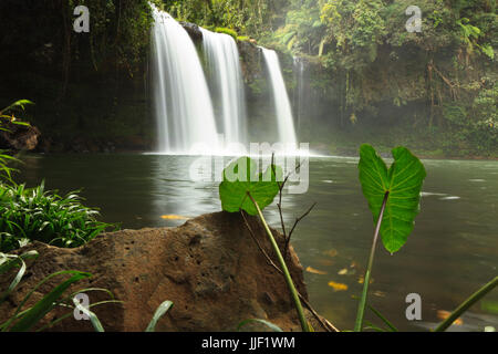 Kleiner Wasserfall gesehen während Motorrad Schleife von Pakse Stockfoto