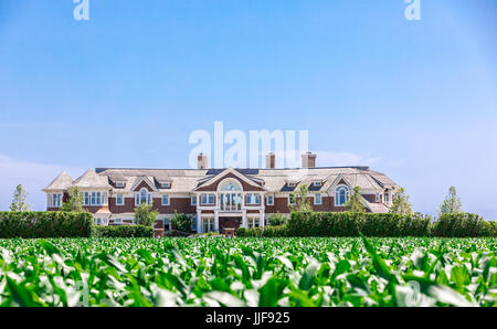 riesiges Hamptons Anwesen mit einem Kornfeld davor, Sagaponack ny Stockfoto