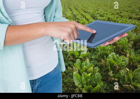 Digitalen Verbund des Modells mit landwirtschaftlichen Geräten Stockfoto