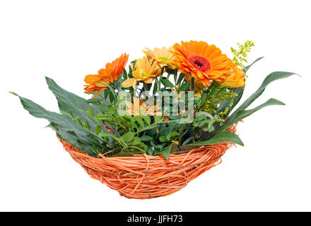 Orange-Chrysantheme Blumen in einem braunen Korb, auch als Mütter oder Chrysanths, Blumenarrangement, Nahaufnahme, isoliert Stockfoto