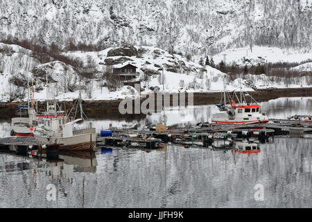 Fischereihafen Boote vertäut-schwimmende Pontons-Sildpolltjonna Einlass-S.shore Sildpollnes Halbinsel-Holzhaus und Bootshaus. Kistbergtinden mt.back Stockfoto