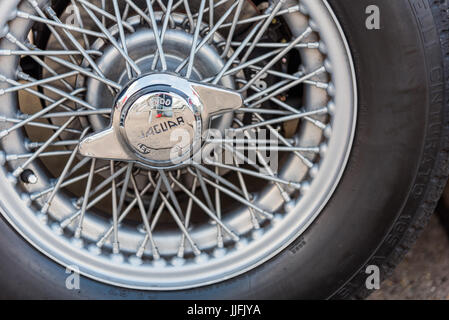 Jaguar-Rad Stockfoto