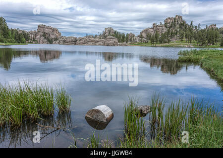 Ein kleines Protokoll sitzt im Vordergrund des berühmten Sylvan Lake nahe Custer, South Dakota. Stockfoto