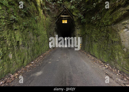 Moki Tunnel, vergessene Welt Highway, Whangamomona, Neuseeland Stockfoto