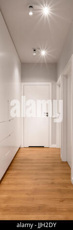 Vertikales Panorama der lange nach Hause Gang mit mehreren Türen und geräumigen Kleiderschrank, panorama Stockfoto