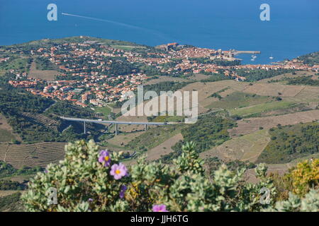 Landschaft der Küste Dorf von Collioure mit Weinbergen, Feldern und das Mittelmeer, südlich von Frankreich, Roussillon, Pyrenäen Orientales Stockfoto