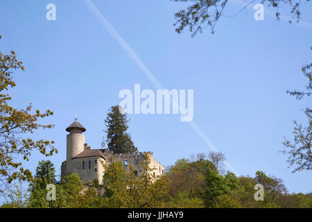 Schloss Birseck in Arlesheim bei Basel Stockfoto