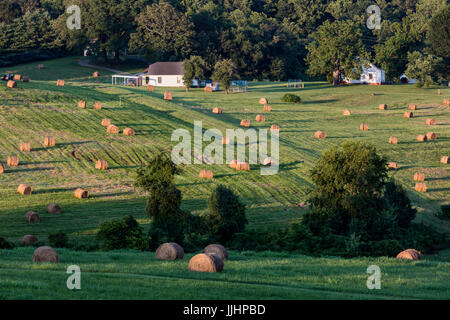 Blick auf den Sonnenuntergang der Farm mit Heu rollt in North Carolina Piedmont Stockfoto