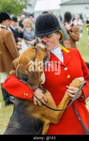 Der Whipper In von The Cranwell Bloodhounds mit ihren Bloodhound der Begrüßung durch das Publikum bei Peterborough Festival der Jagd Stockfoto