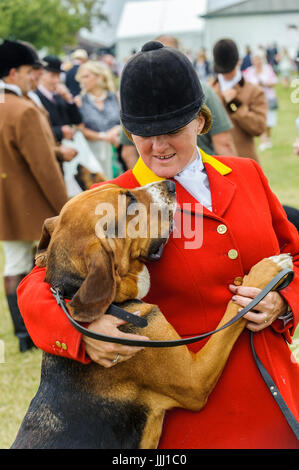 Der Whipper In von The Cranwell Bloodhounds mit ihren Bloodhound bei Peterborough Festival der Jagd Stockfoto