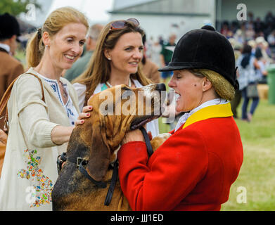 Der Whipper In von The Cranwell Bloodhounds mit ihren Bloodhound der Begrüßung durch das Publikum bei Peterborough Festival der Jagd Stockfoto