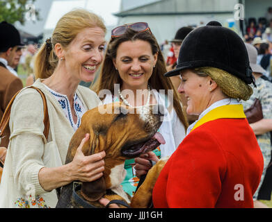 Der Whipper In von The Cranwell Bloodhounds mit ihren Bloodhound der Begrüßung durch das Publikum bei Peterborough Festival der Jagd Stockfoto