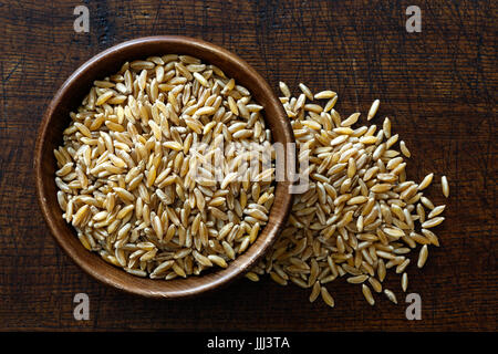 Kamut Weizenkörner in dunklen Holzschale auf dunkelbraunem Holz von oben isoliert. Verschüttete Weizen. Stockfoto