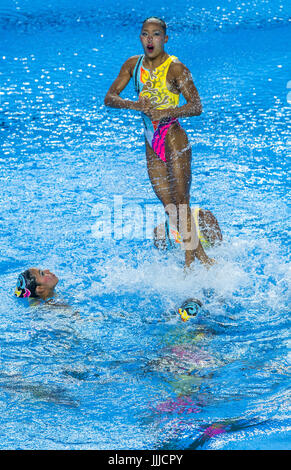 Budapest, Ungarn. 19. Juli 2017. Das Japan-Team im Wettbewerb in der Qualifikation für das Synchro Team kostenlose Veranstaltung in Budapest, Ungarn, 19. Juli 2017. Foto: Jens Büttner/Dpa-Zentralbild/Dpa/Alamy Live News Stockfoto