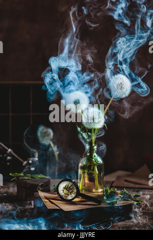 Botanische Stillleben mit Wissenschaftlers Arbeitsplatz, Löwenzahn in eine Glasflasche und ein blauer Rauch auf einem dunklen Hintergrund Stockfoto