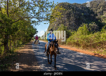Reiten ist eine gemeinsame touristische Aktivitäten in und um Vinales Nationalpark - VINALES, PINAR DEL RIO, Kuba Stockfoto
