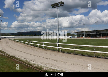 Der Track und Tribüne/Restaurant-Bereich im Drumbo Park Greyhound Stadium, Nordirland. Stockfoto