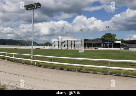 Der Track und Tribüne/Restaurant-Bereich im Drumbo Park Greyhound Stadium, Nordirland. Stockfoto