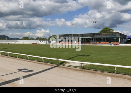 Der Track und Tribüne/Restaurant-Bereich im Drumbo Park Greyhound Stadium, Nordirland. Stockfoto