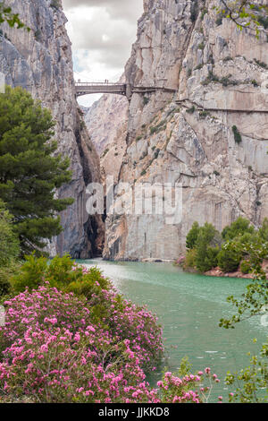 Schlucht von der Gaitanes mit Steg El Caminito del Rey (kleiner Pfad des Königs). Ardales, Provinz Málaga, Spanien Stockfoto