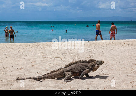 Die tropische Insel CAYO IGUANA erreicht mit dem Boot von PLAYA ANCON ist ein Touristenziel - TRINIDAD, Kuba Stockfoto