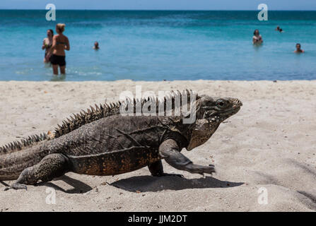 Die tropische Insel CAYO IGUANA erreicht mit dem Boot von PLAYA ANCON ist ein Touristenziel - TRINIDAD, Kuba Stockfoto