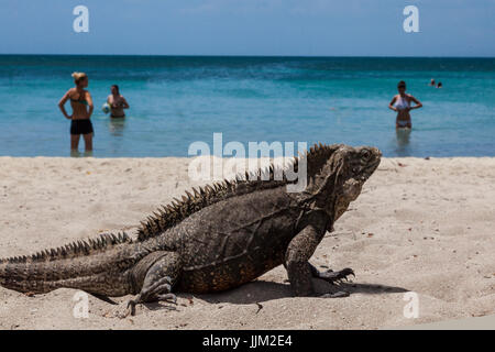 Die tropische Insel CAYO IGUANA erreicht mit dem Boot von PLAYA ANCON ist ein Touristenziel - TRINIDAD, Kuba Stockfoto