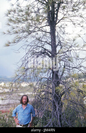 Gary Snyder, in der Sierra Nevada, 1969 Stockfoto