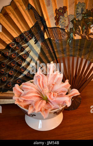 Stilleben mit Amaryllis Blume mit einem chinesischen Pfau-Ventilator Stockfoto