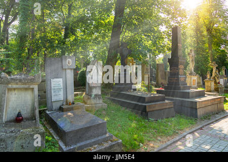 Lytschakiwski-Friedhof in Lemberg Stockfoto