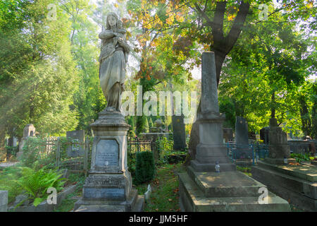 Lytschakiwski-Friedhof in Lemberg Stockfoto