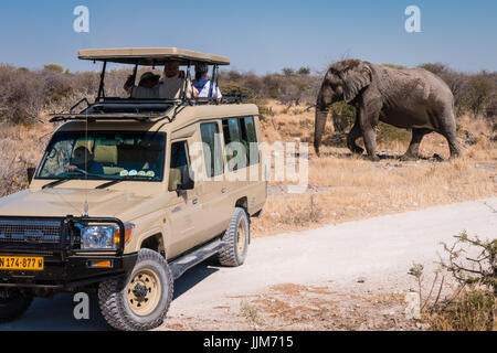 Touristen fotografieren Elefant aus einem Safari-Fahrzeug im Etosha Nationalpark, Namibia, Afrika Stockfoto