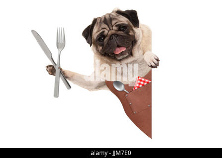 lächelnd Mops Hund trägt Grill Lederschürze, Besteck für Essen mit leeren Banner hochhalten isoliert auf weißem Hintergrund Stockfoto