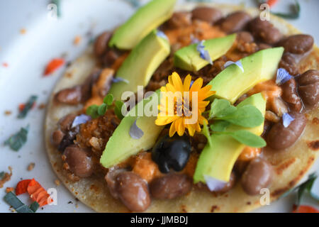 Taco Dienstag, vegane Tacos mit Chorizo-Bohnen, veganen Käse, Avocado, blaue Blume Blütenblatt und eine gelbe Blume. Stockfoto