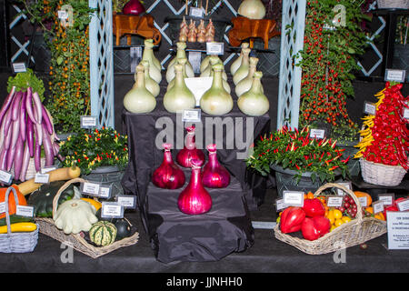 Tomaten und Zwiebel Sorten an Tatton Park Flower Show angezeigt Stockfoto